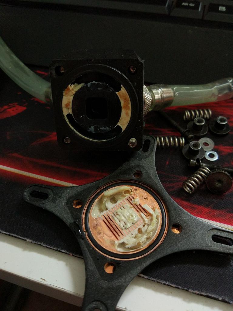 [26/08/2017] Update vom 26.08.2017: Foto von MetallSimon