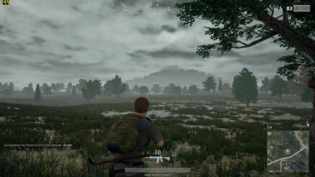 [28/08/2017] PUGB Performance Full HD, Hoch, GTX 1080 Ti (42)