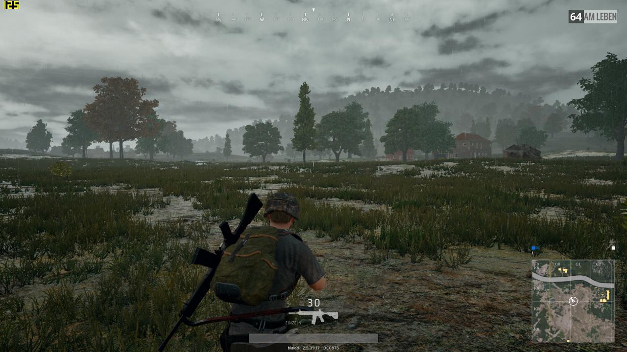 [28/08/2017] PUGB Performance Full HD, Hoch, GTX 1080 Ti (46)