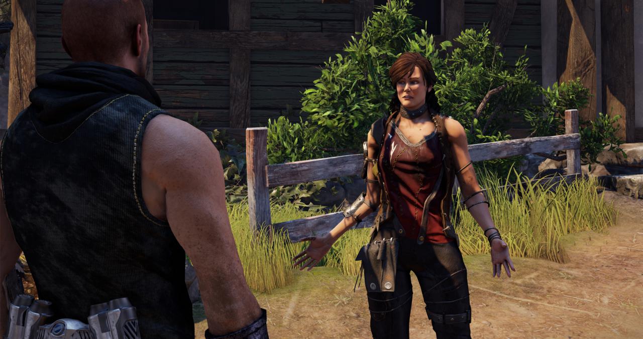 [20/10/2017] Elex Grafik-Tuning mittels Ultra-Config inklusive Grafikkarten-Benchmarks&nbsp; (4)