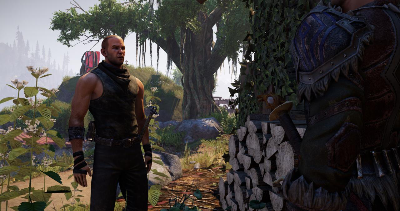 [20/10/2017] Elex Grafik-Tuning mittels Ultra-Config inklusive Grafikkarten-Benchmarks&nbsp; (17)
