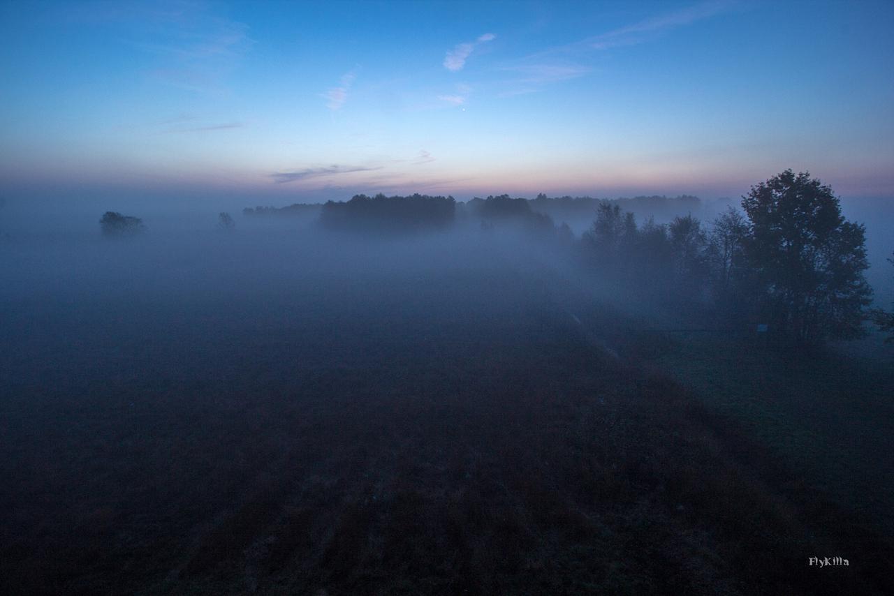 [25/10/2017] Update Oktober 2017: Foto von FlyKilla