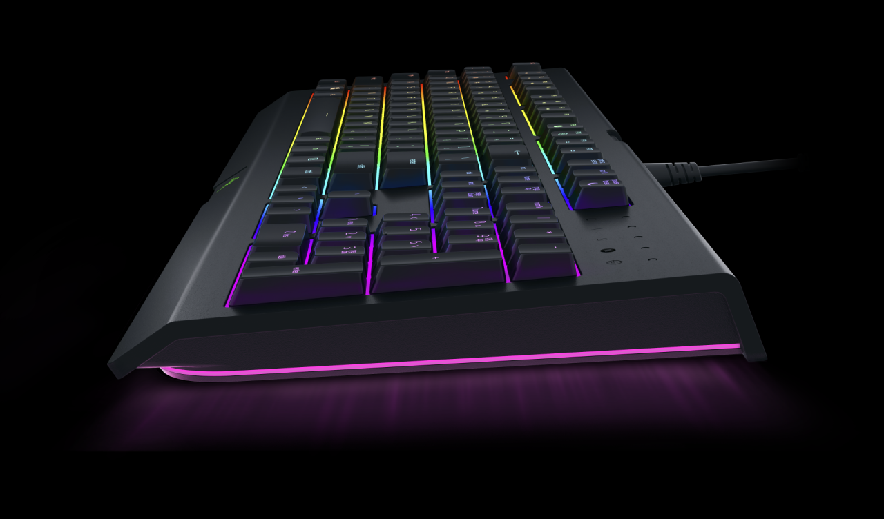 [30/10/2017] Razer Cynosa Chroma Pro 1