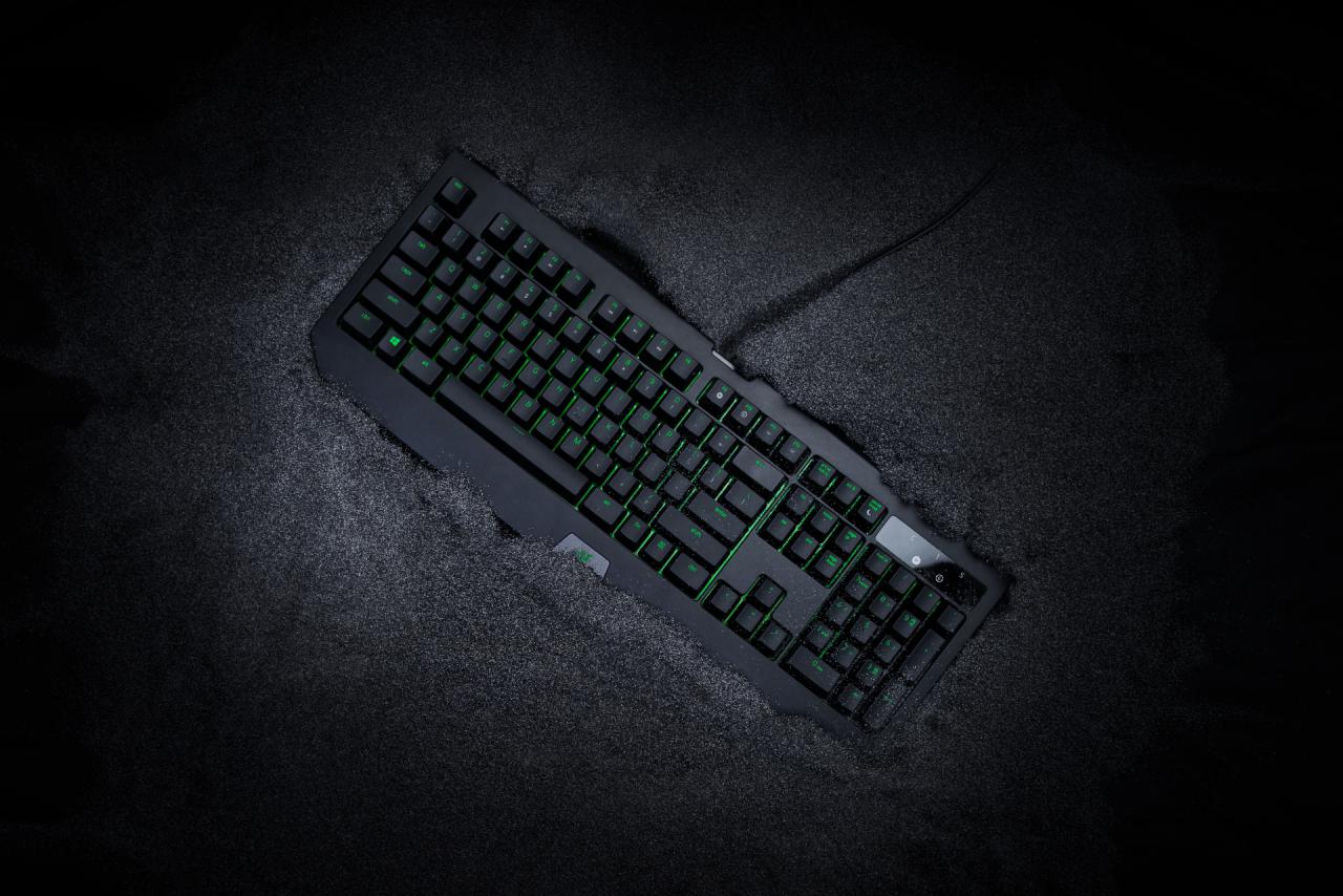 [16/11/2017] Razer Blackwidow Ultimate: Neuauflage ist wasserresistent (5)