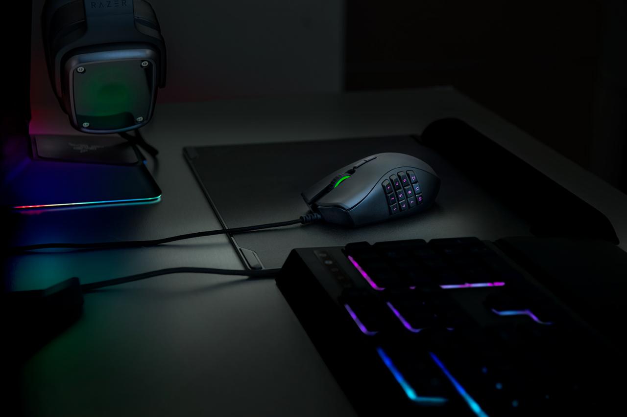 [06/11/2017] Razer Naga Trinity 1