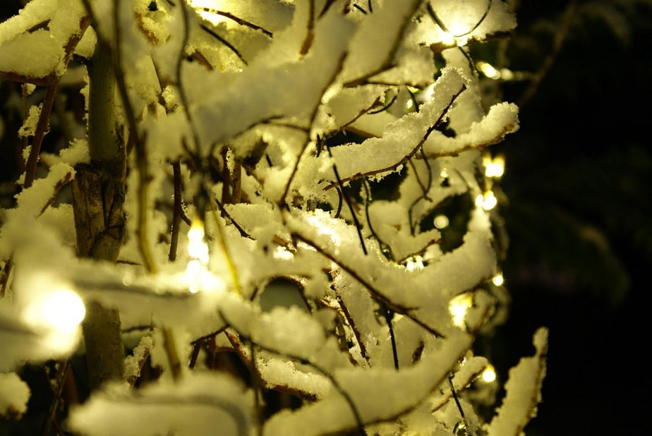 [19/12/2017] Update Dezember 2017: Foto von BautznerSnef
