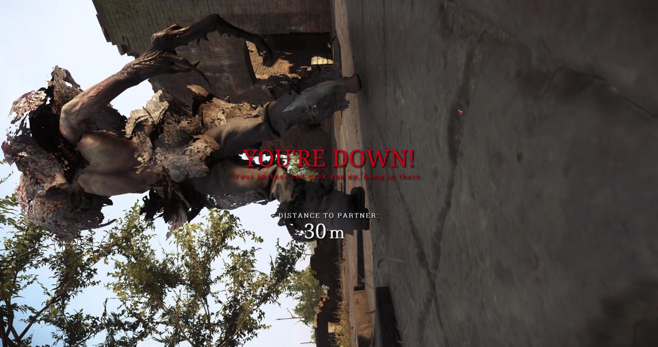 [30/01/2018] Hunt: Showdown von Crytek - Erste Technik-Eindrücke aus der Closed Alpha (Bilder: 4.096 × 2.160 mit maximalen Details, downsampled) (25)