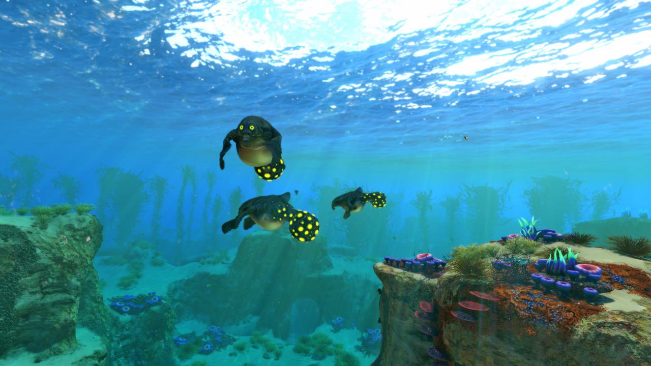 [29/01/2018] Subnautica im Techniktest (3)