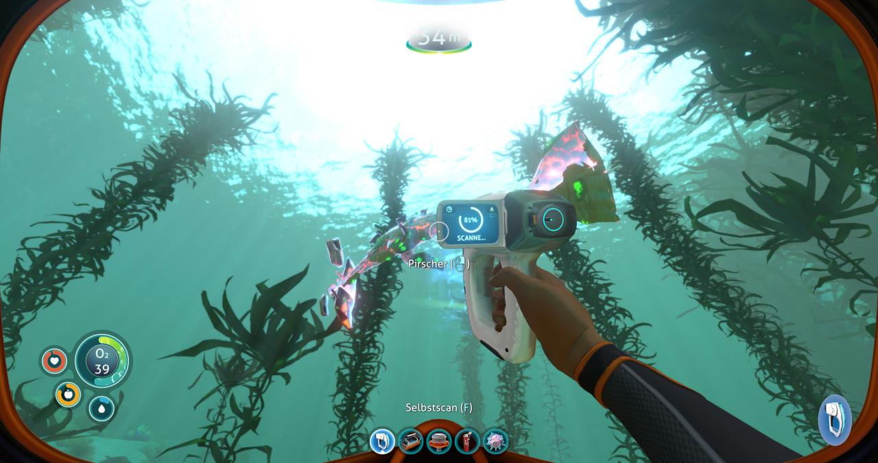 [29/01/2018] Subnautica im Techniktest (16)