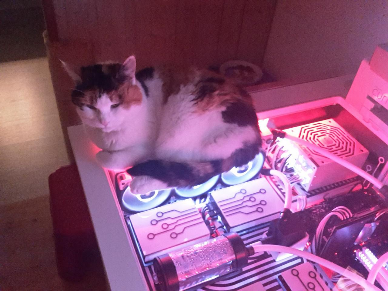 [25/02/2018] Update Februar 2018: Foto von Redoste