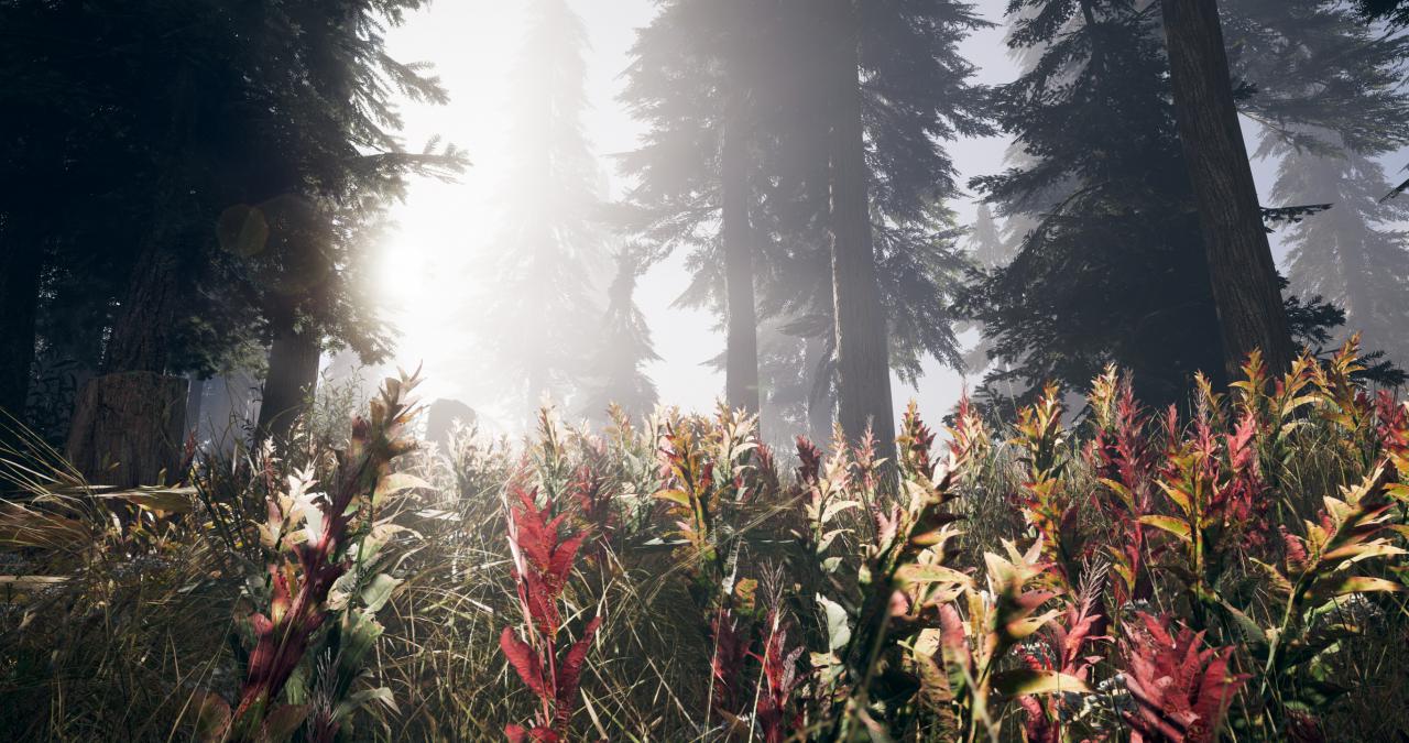 [25/03/2018] Far Cry 5 PC (Bilder: 4K-DCI mit maximalen Details, downsampled) (2)