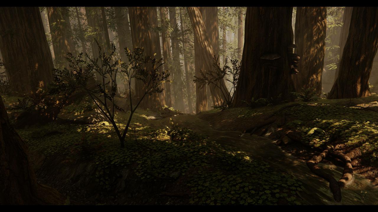 [15/03/2018] Warhammer Vermintide 2 (29)