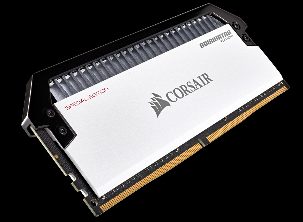 [12/04/2018] Corsair Dominator Platinum Special Edition: Contrast-Module in Schwarz-Weiß (1)