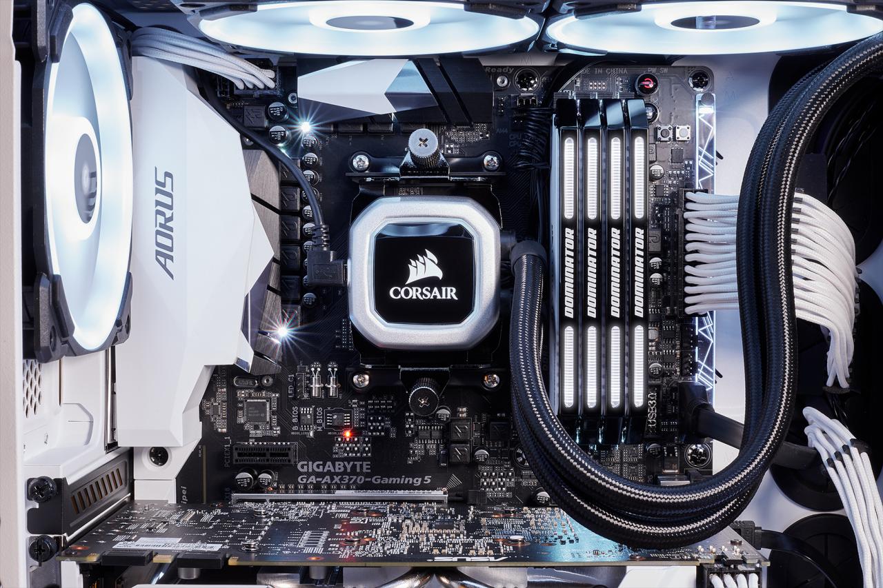 [12/04/2018] Corsair Dominator Platinum Special Edition: Contrast-Module in Schwarz-Weiß (9)