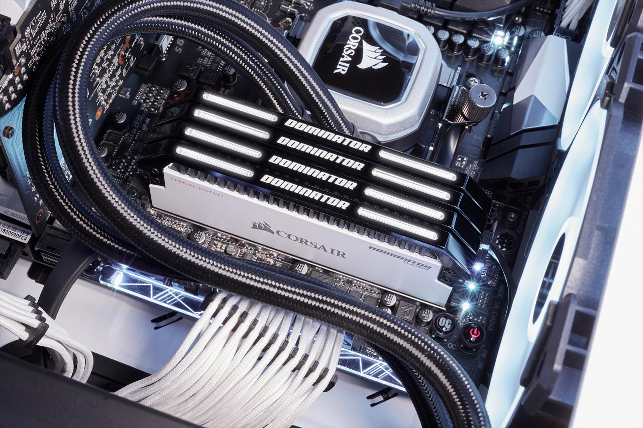 [12/04/2018] Corsair Dominator Platinum Special Edition: Contrast-Module in Schwarz-Weiß (11)