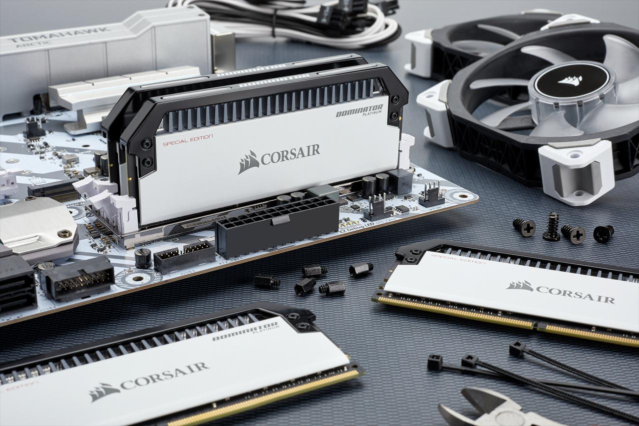 [12/04/2018] Corsair Dominator Platinum Special Edition: Contrast-Module in Schwarz-Weiß (12)