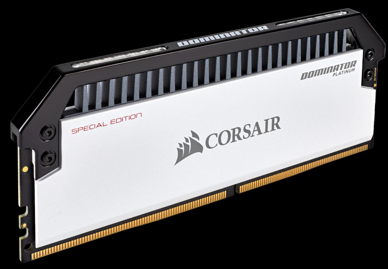 [12/04/2018] Corsair Dominator Platinum Special Edition: Contrast-Module in Schwarz-Weiß (2)