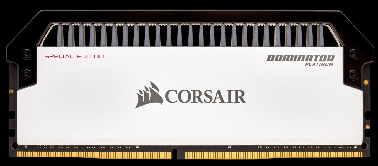 [12/04/2018] Corsair Dominator Platinum Special Edition: Contrast-Module in Schwarz-Weiß (3)