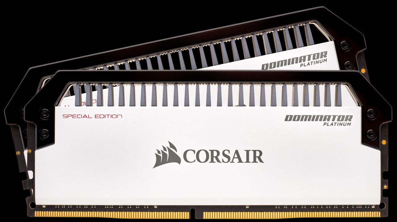 [12/04/2018] Corsair Dominator Platinum Special Edition: Contrast-Module in Schwarz-Weiß (4)