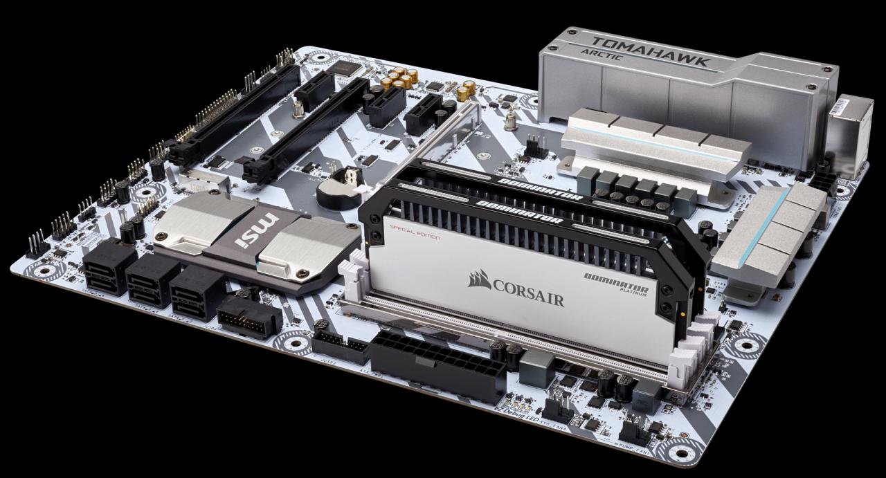 [12/04/2018] Corsair Dominator Platinum Special Edition: Contrast-Module in Schwarz-Weiß (6)