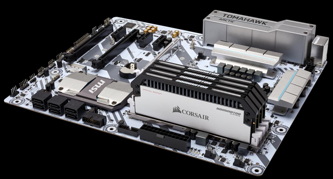 [12/04/2018] Corsair Dominator Platinum Special Edition: Contrast-Module in Schwarz-Weiß (7)