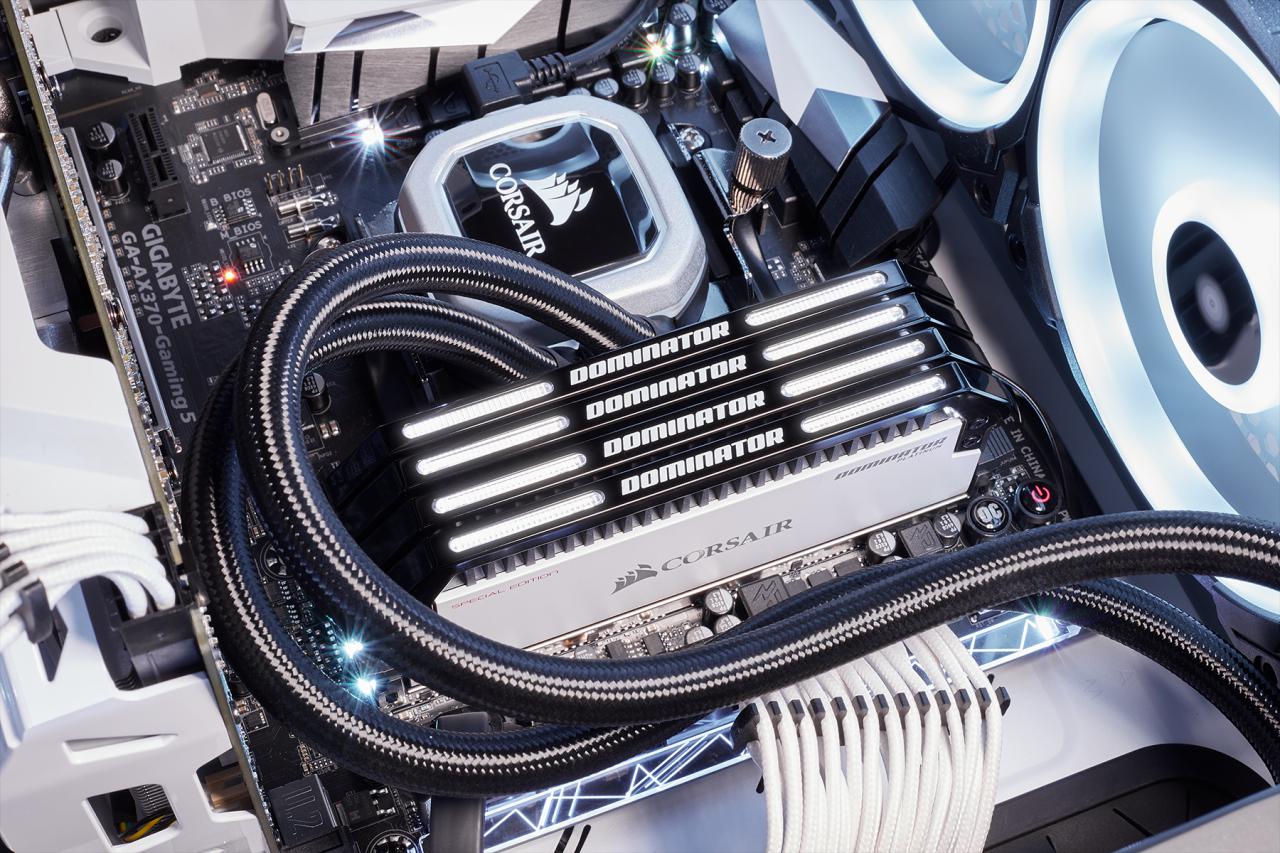 [12/04/2018] Corsair Dominator Platinum Special Edition: Contrast-Module in Schwarz-Weiß (8)