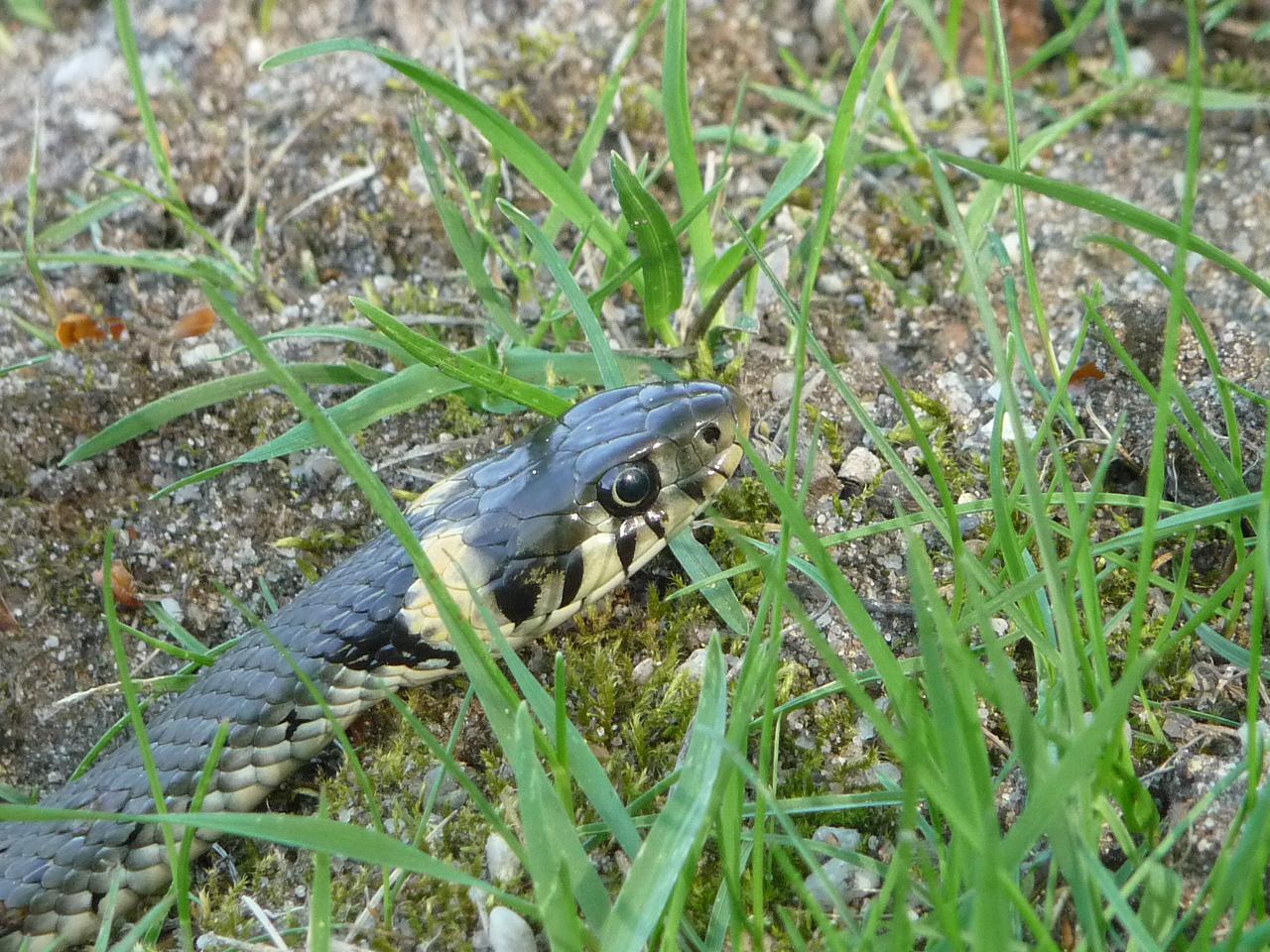 [03/07/2018] Update Juli 2018: Foto von mattinator