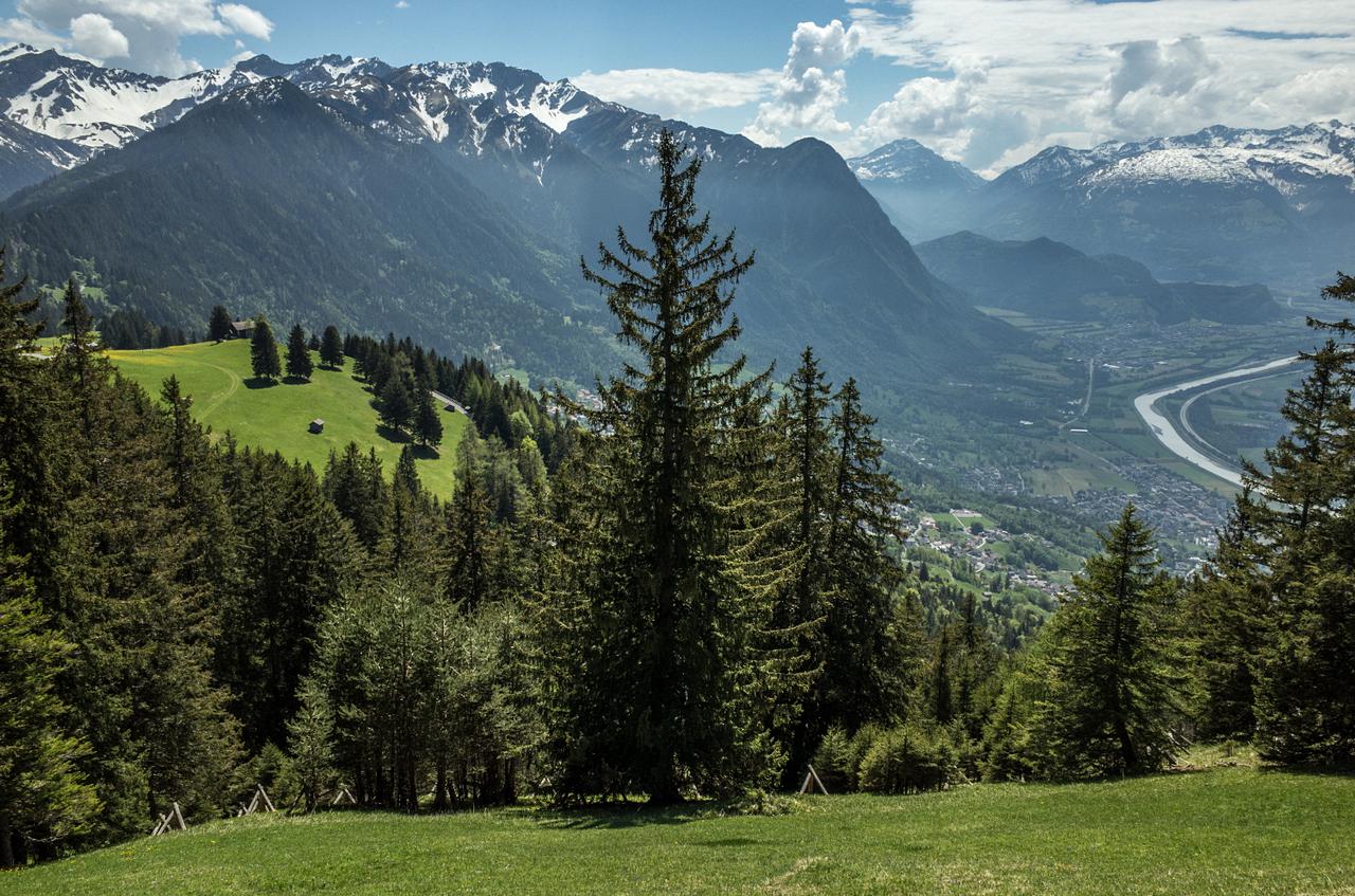 [03/07/2018] Update Juli 2018: Foto von taks