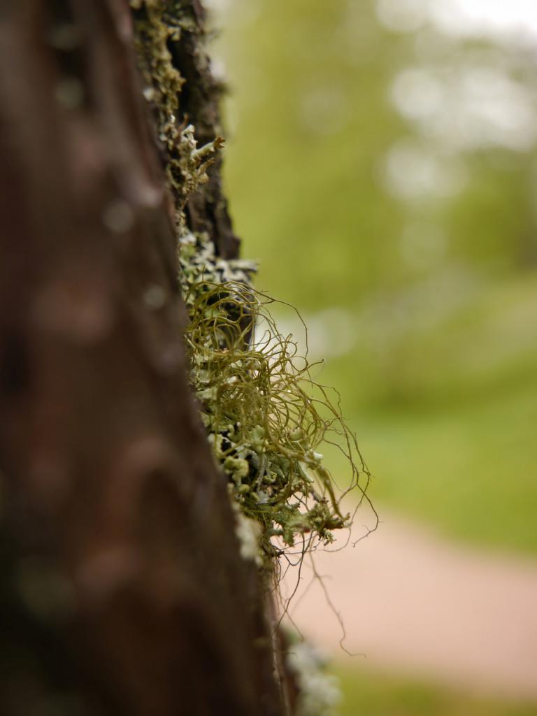 [03/07/2018] Update Juli 2018: Foto von masterX244