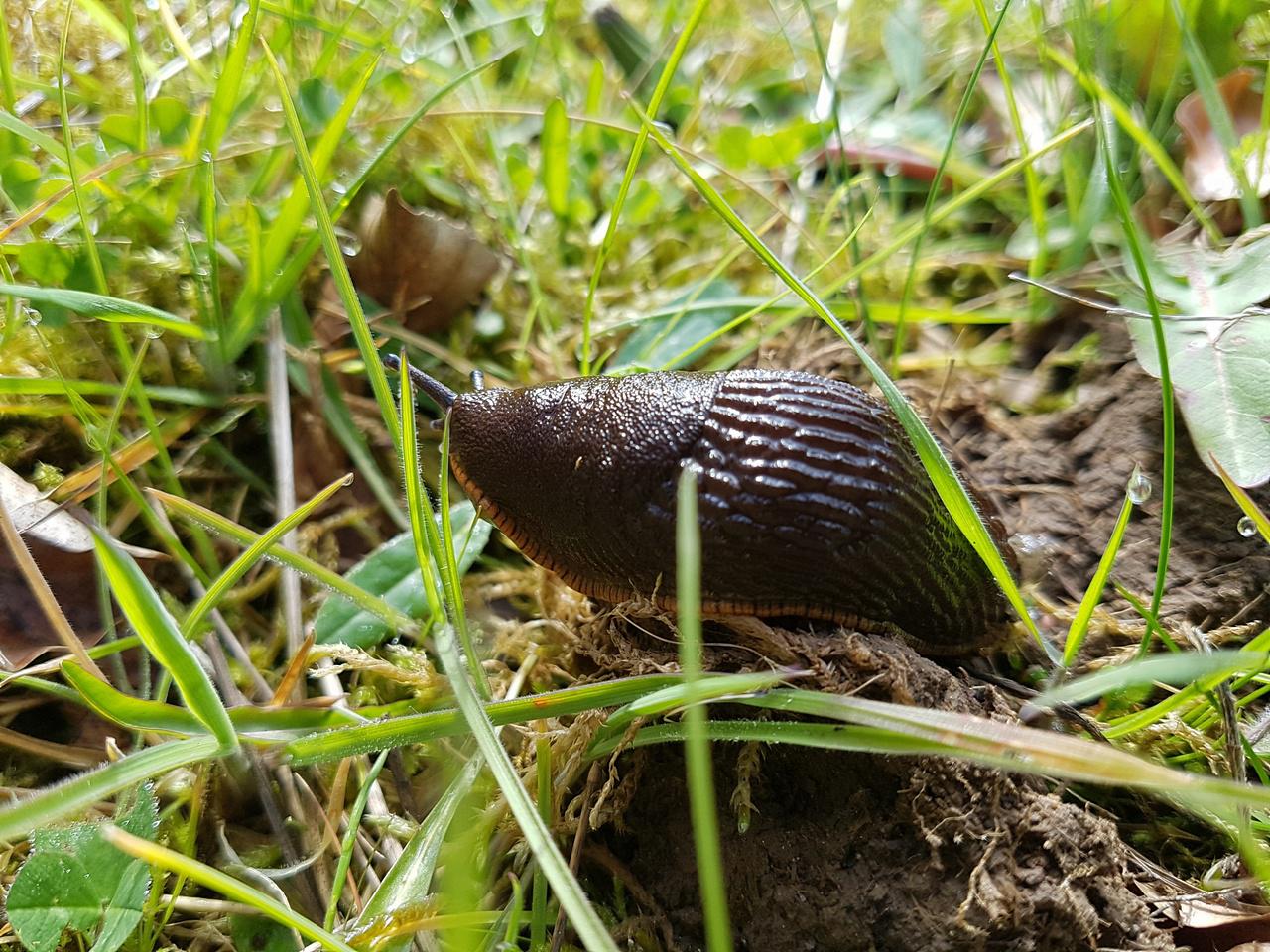 [03/07/2018] Update Juli 2018: Foto von Ion