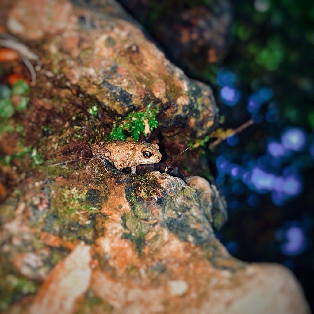 [15/08/2018] Update August 2018: Foto von mayo