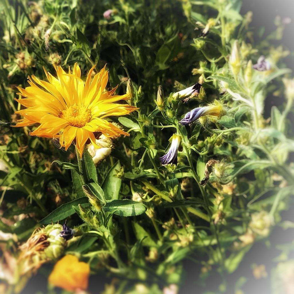 [15/08/2018] Update August 2018: Foto von mayo