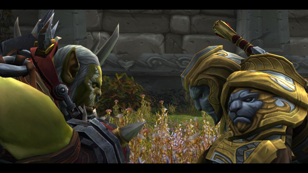 [15/08/2018] WoW Battle for Azeroth maxed & downsampled (10)