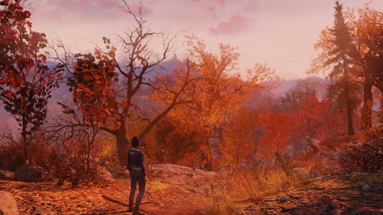 [31/10/2018] Fallout 76 (31)
