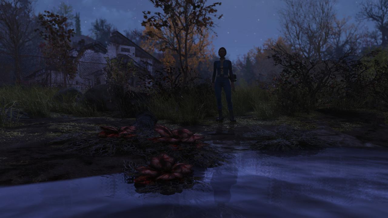[31/10/2018] Fallout 76 (20)