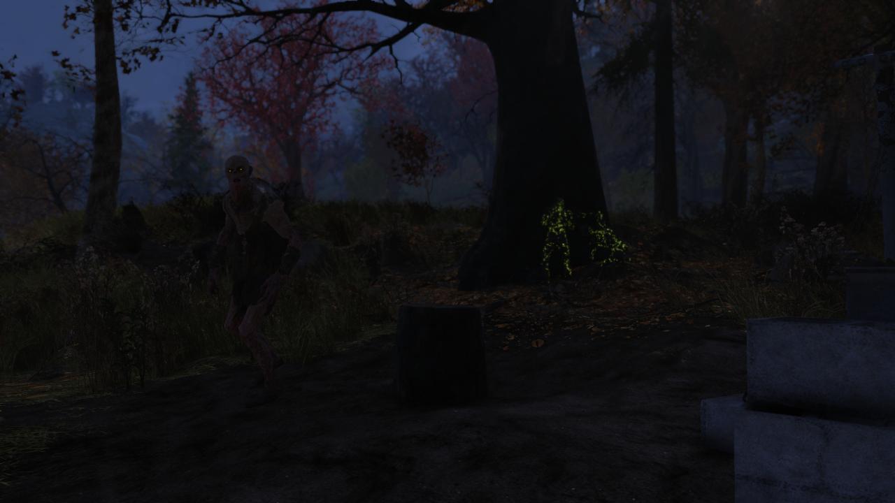 [31/10/2018] Fallout 76 (47)