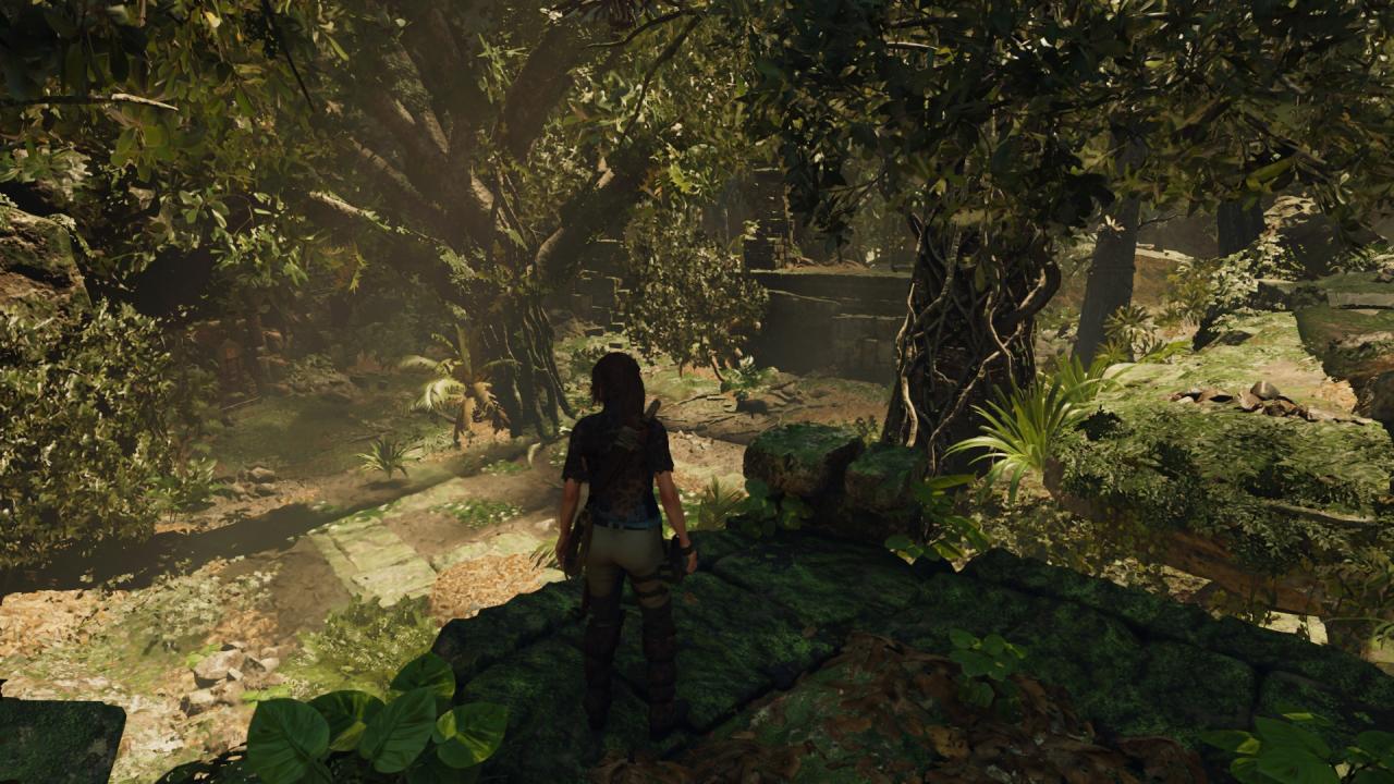 [01/10/2018] Shadow of the Tomb Raider (2018) ist der aktuellste Titel im Test, daher haben wir hier die meisten Probleme erwartet. Aber Überraschung: Abgesehen von einem Grafikfehler, wenn Tesselation aktiviert ist, und einem Schatten-Shader-Bug läuft es erstaunlich rund. Auch hier braucht das Spiel einige Minuten zum 