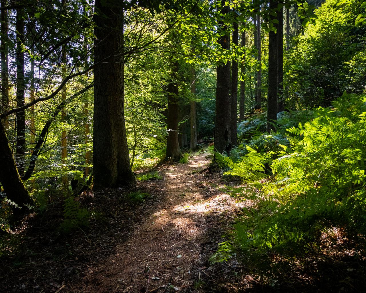 [08/10/2018] Update Oktober 2018: Foto von kero81