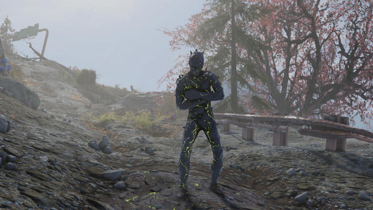 [29/11/2018] Fallout 76 (11)