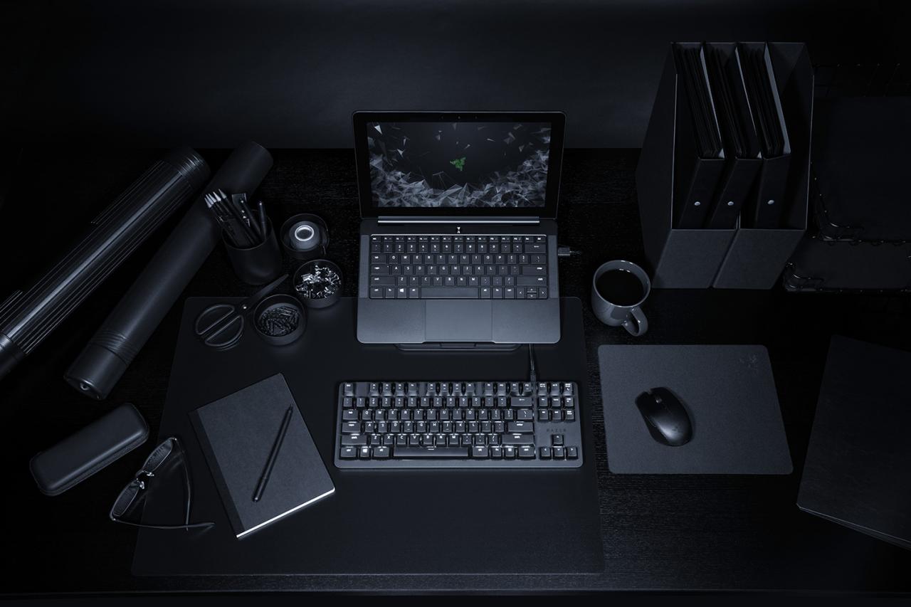 [16/11/2018] Razer Blackwidow Lite: Mechanische Tenkeyless-Tastatur für 100 Euro (1)