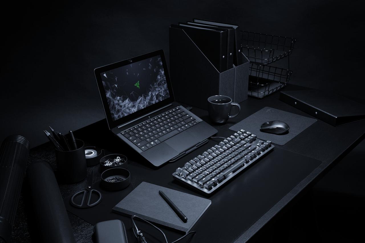 [16/11/2018] Razer Blackwidow Lite: Mechanische Tenkeyless-Tastatur für 100 Euro (8)