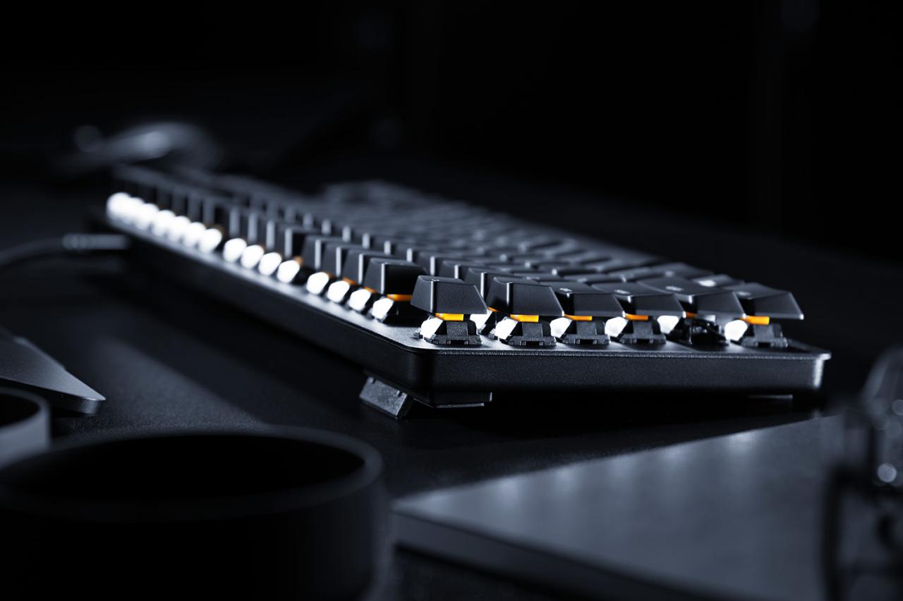 [16/11/2018] Razer Blackwidow Lite: Mechanische Tenkeyless-Tastatur für 100 Euro (3)