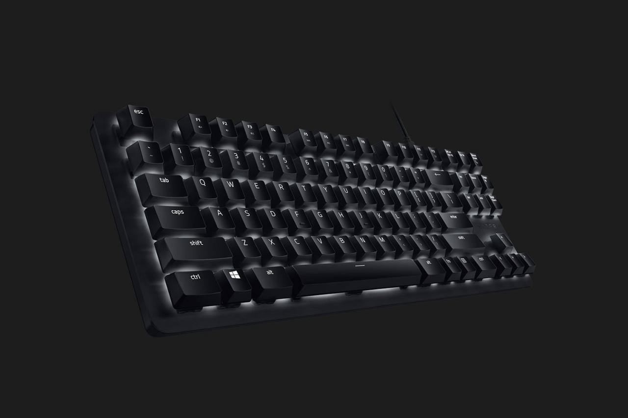 [16/11/2018] Razer Blackwidow Lite: Mechanische Tenkeyless-Tastatur für 100 Euro (5)