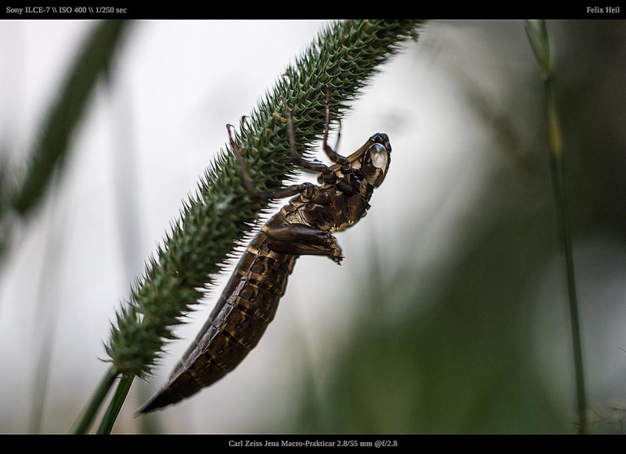 [03/12/2018] Update Dezember 2018: Foto von Takeda