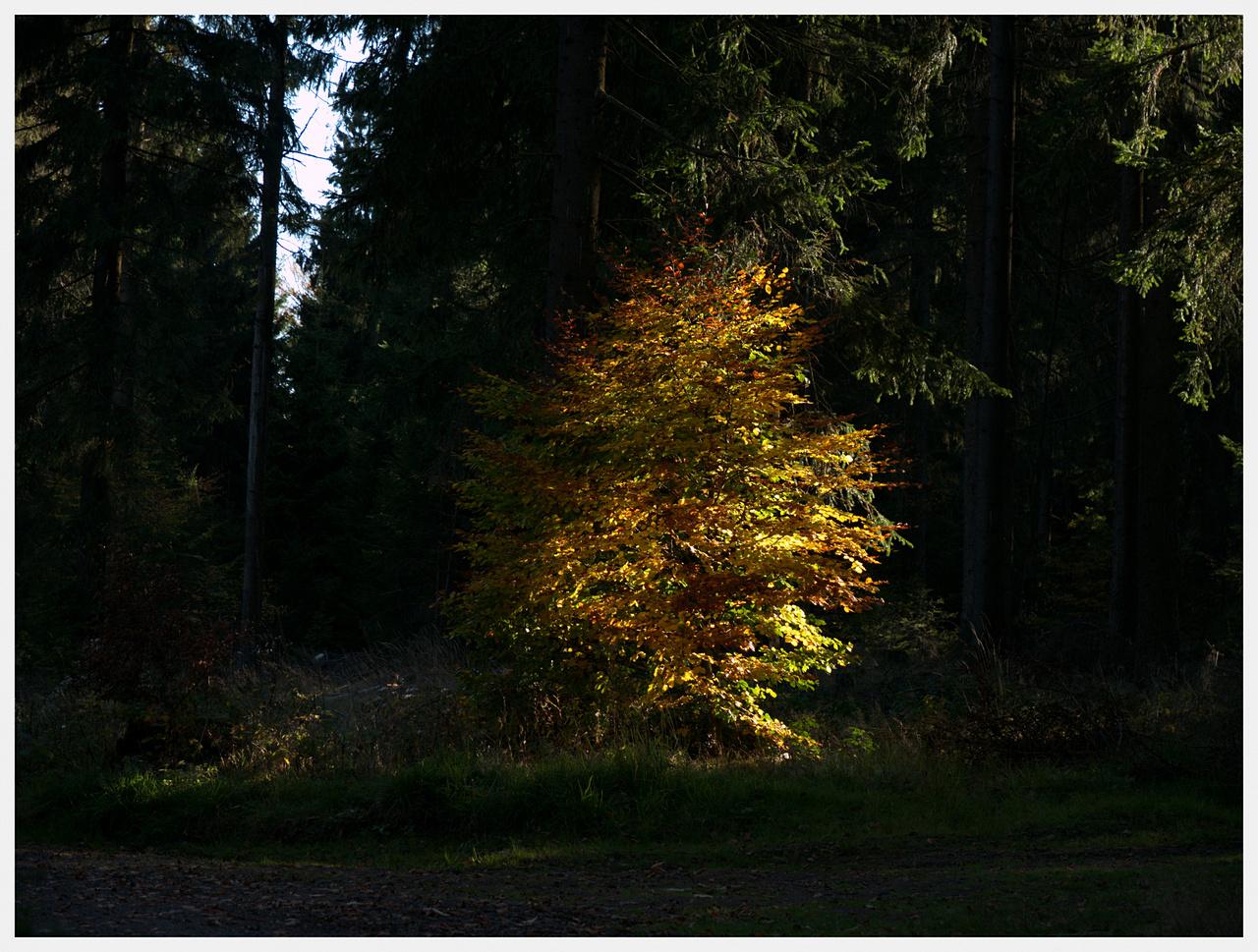 [03/12/2018] Update Dezember 2018: Foto von Mosla