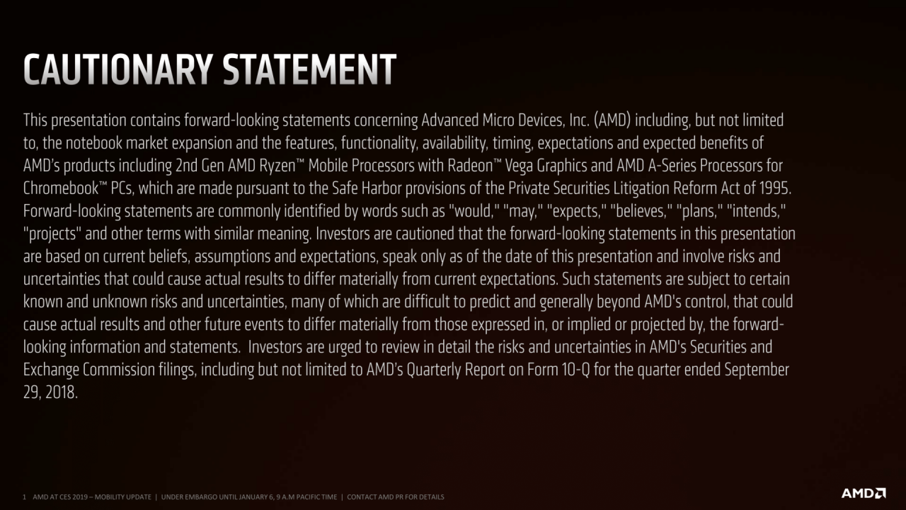 [07/01/2019] AMD-Präsentation zu Picasso (27)
