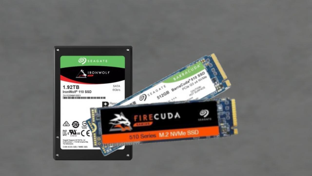 [02/01/2019] Erste NVMe-SSDs von Seagate: Barracuda und Firecuda 510 angekündigt (1)