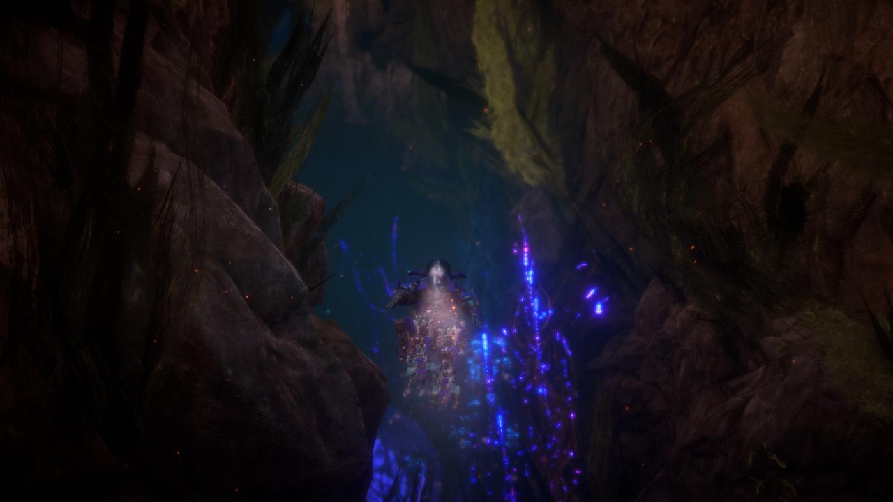 [26/02/2019] Anthem (46)