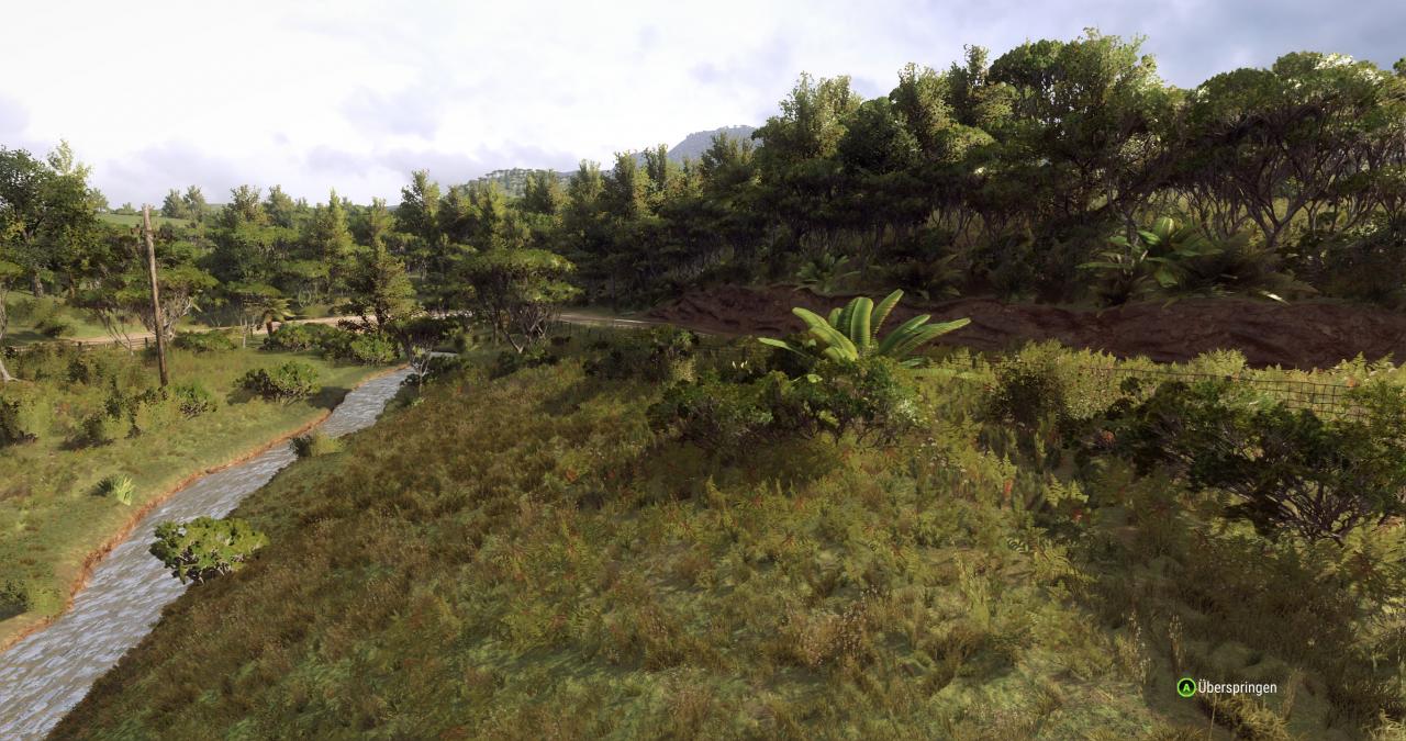 [27/02/2019] Dirt Rally 2.0 im Techniktest (Bilder: 4.096 × 2.160 mit maximalen Details, resampled @ 1440p) (14)