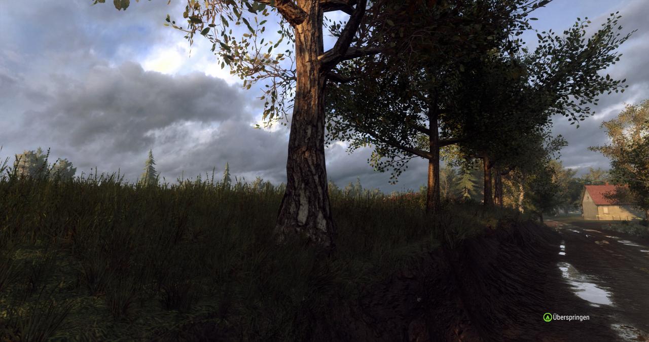 [27/02/2019] Dirt Rally 2.0 im Techniktest (Bilder: 4.096 × 2.160 mit maximalen Details, resampled @ 1440p) (17)